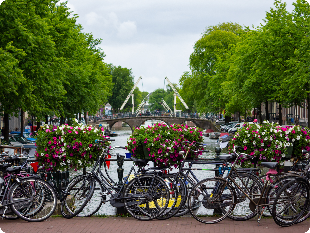 More Bikes Than People